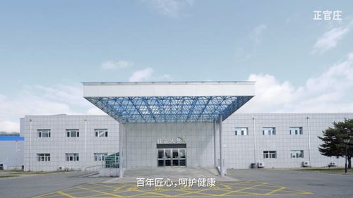 秋冬滋补用好参,东莞国药正官庄