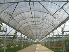 益阳葡萄园种植技术|广西诚信的葡萄园种植公司-兴安县发发葡萄种植专业合作社提供益阳葡萄园种植技术|广西诚信的葡萄园种植公司的相关介绍、产品、服务、图片、价格广西夏黑提子、广西夏黑提子、葡萄建园、葡萄园施工、葡萄园种植技术、葡萄基地施工、