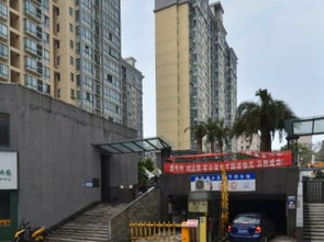 桃花里精装房，拎包即住！益阳租房优选，尽在益阳列表网